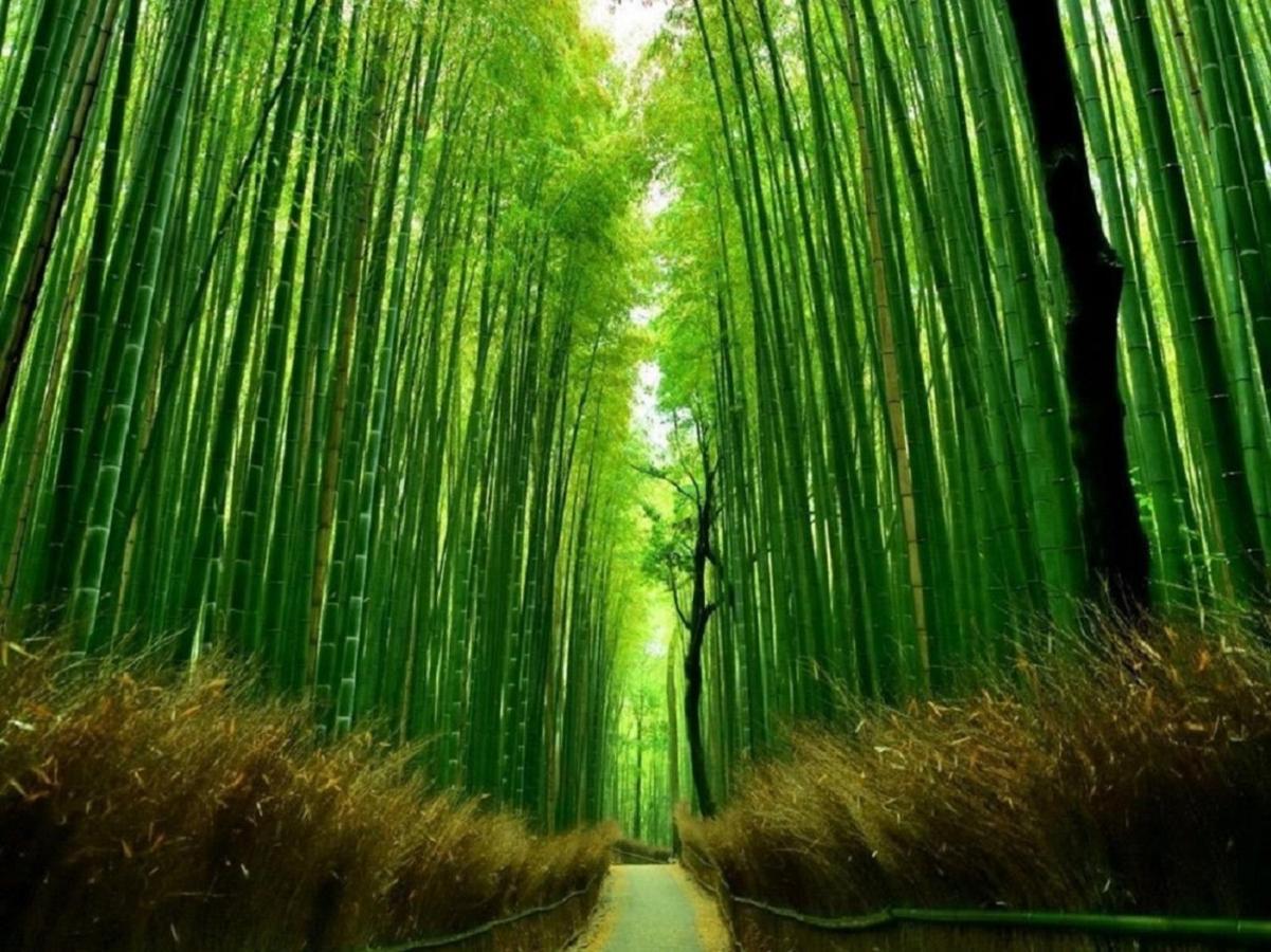 町屋 月 Machiya Tsuki Villa Kyoto Ngoại thất bức ảnh